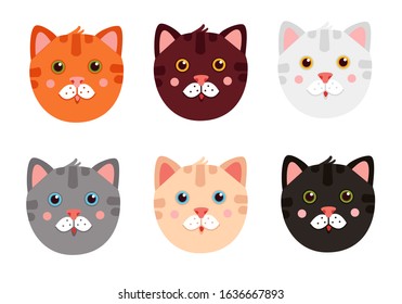 Set of colorful cat faces with pink cheeks. As such orange, brown, white, grey, beige, black cat. Cute tabby cat. Isolated on white background.  Vector illustration. For design, web, graphic. 