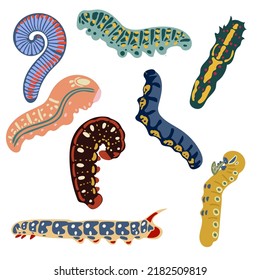 A set of colorful caterpillars on a white background. Illustration for a postcard, banner, decor.