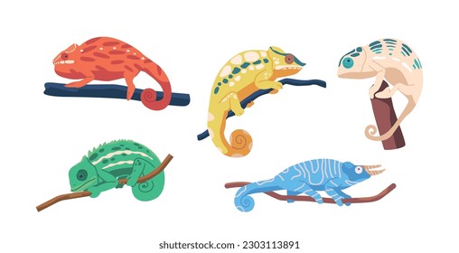 Set Colorful Chameleons On Tree Branches, With Distinctive Eyes, Long Tails, And Ability To Change Color, Unique Animals