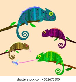 Set of colorful chameleons sitting on the branch on light background