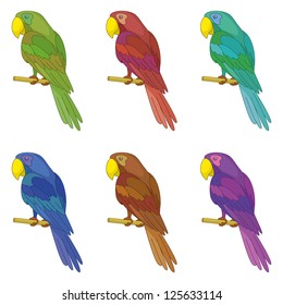 Set colorful clever speaking colored parrots sits on a wooden pole. Vector