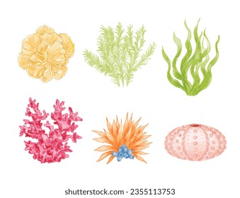 Set of colorful coral watercolor illustration