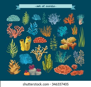 Set of colorful corals and algae on a blue background. Natural underwater vector illustration.