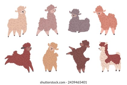 Set of colorful cute llamas in different funny poses. Lama animal vector isolated illustration. Cartoon funny curly fur animal. Adorable cheerful sheep with beige, gray, brown wool