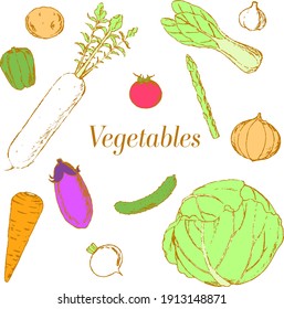 A set of colorful and cute vegetables
