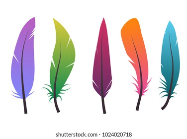 19,787 Different bird feathers Images, Stock Photos & Vectors ...