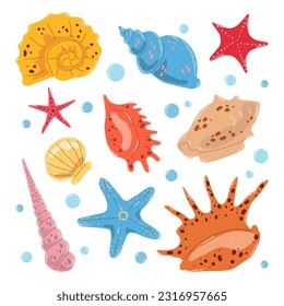 Set colorful different seashells and starfishes in flat hand drawn vector style isolated on white background.
