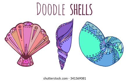 Set of colorful Doodle illustration of seashell for your creativity