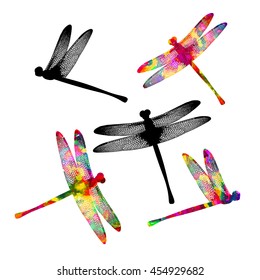 A set of colorful dragonflies. Vector