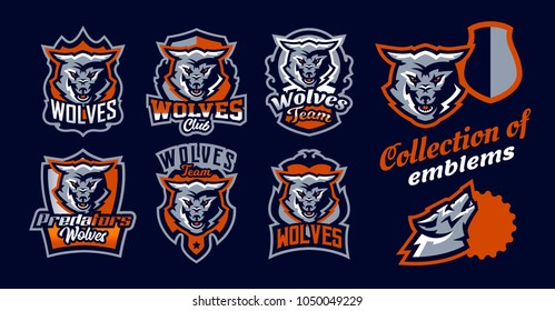 A set of colorful emblems, logos, snarling wolf. An aggressive predator, an animal from the forest, a dangerous beast, a head, a mascot. Sport Identity, T-shirt printing, vector illustration.