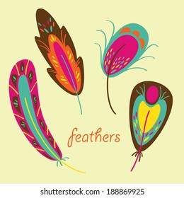 set of colorful feather