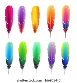 Set of colorful feathers