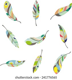 set of colorful feathers 