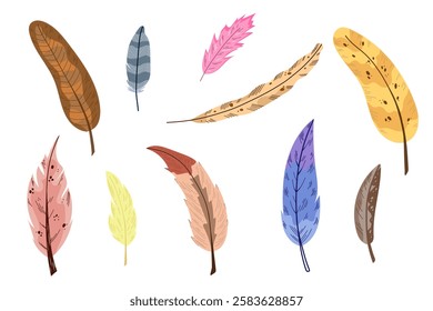Set of colorful feathers. Birds, animals, nature. Vector isolated on white background.