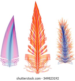 Set of colorful feathers of different shapes. Vector illustration