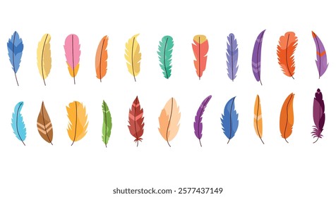 A set of colorful feathers, featuring 20 unique designs. The feathers have vibrant shades of blue, green, yellow, orange, pink, and purple, with different decorative patterns
