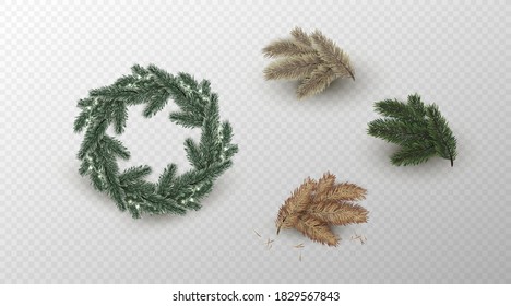 Set of colorful fir branches with garland. Christmas Wreath. Christmas tree, pine.