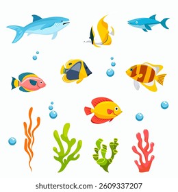 Set of Colorful Fishes, Corals and Bubbles