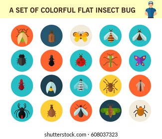 A set of colorful flat insect bug concept flat icons. 