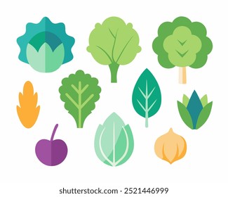 Un conjunto de coloridas Ilustraciones vectoriales planas que representan varios tipos de verduras y hierbas, incluyendo brócoli, lechuga, albahaca y un tomate cherry.