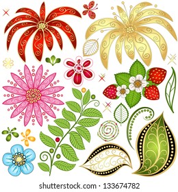 Set colorful floral design elements isolated on white (vector)