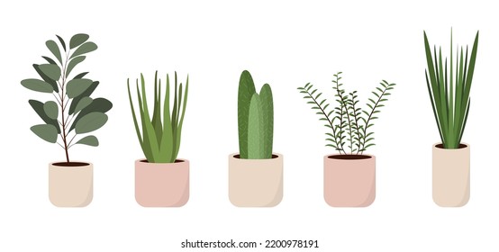 Set of colorful flower pots in cartoon style. Vector illustration of plants for home and office interiors on white background.