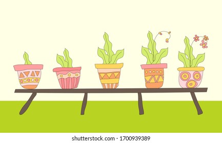 A set of colorful flower pots with plants stands on a low shelf in the room. The collection of house plants is drawn in the Doodle style