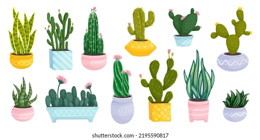 Set of colorful flowering cacti and succulents in flower pots. Cartoon vector graphics.