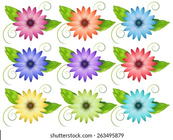 Set of colorful flowers on a white background