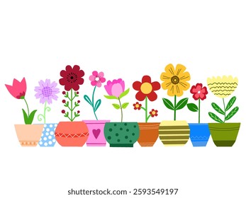 set colorful flowers in pots
