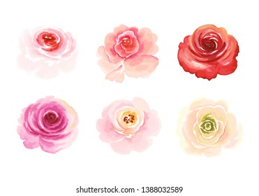 Set of colorful flowers roses, vector floral illustration in watercolor style for your design.