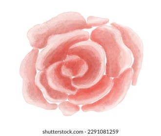 Set of colorful flowers roses, vector floral illustration in watercolor style for your design
