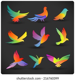 Set of colorful flying birds logo elements. Rainbow silhouettes on dark.