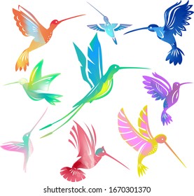 Set of colorful flying hummingbirds Isolated colibri symbol vector illustration