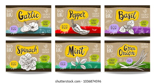 Set colorful food labels, sketch style, food vegetables cardboard texture. Garlic, pepper, basil, spinach, mint, green onion. Spices labels, eco bio food, organic product. Hand drawn vector 