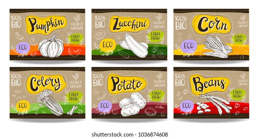 Set colorful food labels, sketch style, food vegetables cardboard texture. Pumpkin, zucchini, corn, celery, potato, beans. Vegetables labels, eco bio food, organic product. Hand drawn vector