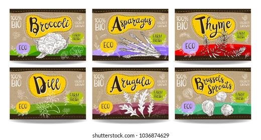 Set colorful food labels, sketch style, food vegetable cardboard texture. Asparagus, brussels sprouts, broccoli, thyme, arugula, dill. Spices labels, eco bio food, organic product. Hand drawn vector
