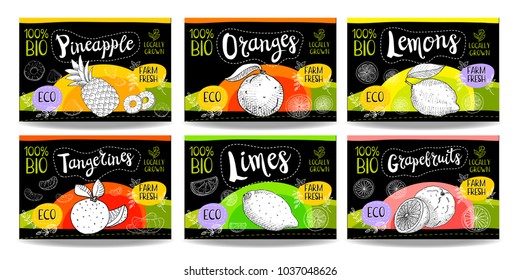 Set colorful food labels, sketch style, food citrus cardboard texture. Pineapple  orange lemons tangerines limes, grapefruits. Tropical fruits labels eco bio food, organic product. Hand drawn vector