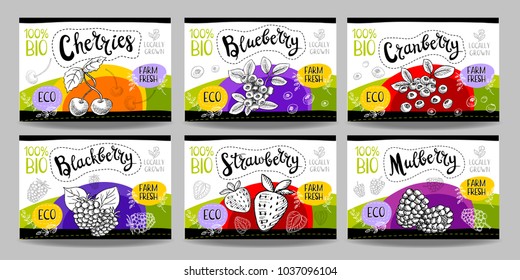 Set colorful food labels, sketch style, food berry cardboard texture. Cherries, strawberry, blueberry, cranberry, blackberry, mulberry. Fruits labels, eco bio food, organic product. Hand drawn vector