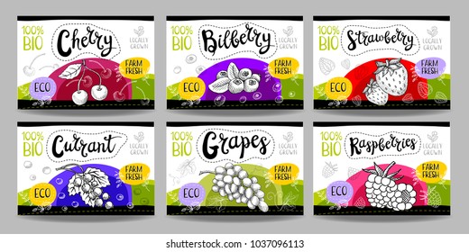 Set colorful food labels, sketch style, food berry cardboard texture. Cherry, bilberry, strawberry, currant, grapes, raspberries. Fruits labels, eco bio food, organic product. Hand drawn vector