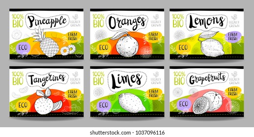 Set colorful food labels, sketch style, food citrus cardboard texture. Pineapple, orange, lemons, tangerines, limes, grapefruits. Tropical fruits labels, eco bio food, organic product. Hand drawn vect