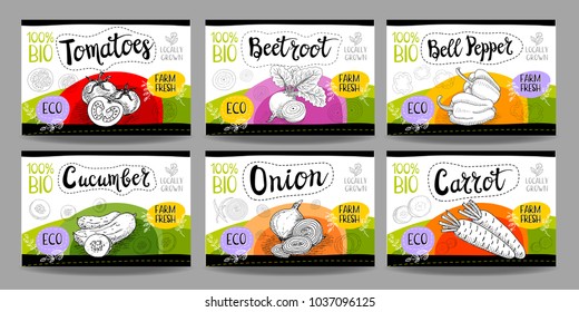 Set colorful food labels, sketch style, food vegetables cardboard texture. Carrot, onions, tomato, bell pepper, beet. Vegetables labels, eco bio food, organic product. Hand drawn vector