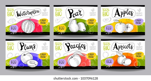 Set colorful food labels, sketch style, food fruits cardboard texture. Watermelon, pear, apples, plums, peaches, apricots. Fruit labels, eco bio food, organic product. Hand drawn vector