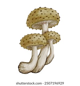 Set of colorful forest mushrooms toadstools. Seasonal botanical elements. Vector graphics.