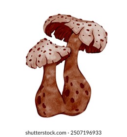 Set of colorful forest mushrooms toadstools. Seasonal botanical elements. Vector graphics.