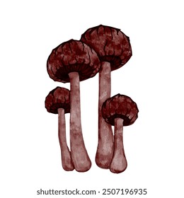 Set of colorful forest mushrooms toadstools. Seasonal botanical elements. Vector graphics.