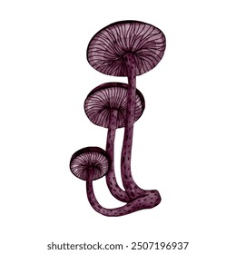 Set of colorful forest mushrooms toadstools. Seasonal botanical elements. Vector graphics.