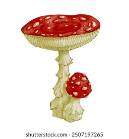 Set of colorful forest mushrooms toadstools, red fly agaric. Seasonal botanical elements. Vector graphics.