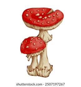 Set of colorful forest mushrooms toadstools, red fly agaric. Seasonal botanical elements. Vector graphics.