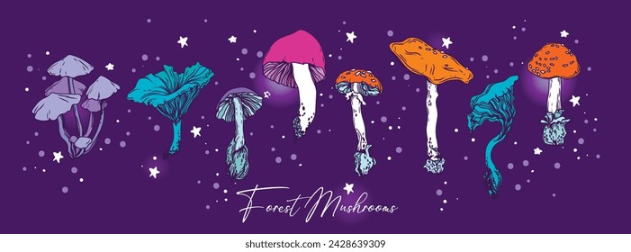 Set of colorful forest mushrooms, vector illustration
